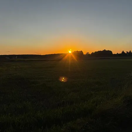 Mglowisko